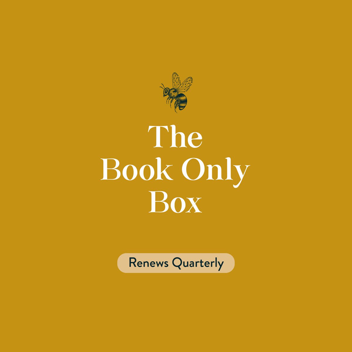 BOOK ONLY Book Box Subscription, Quarterly