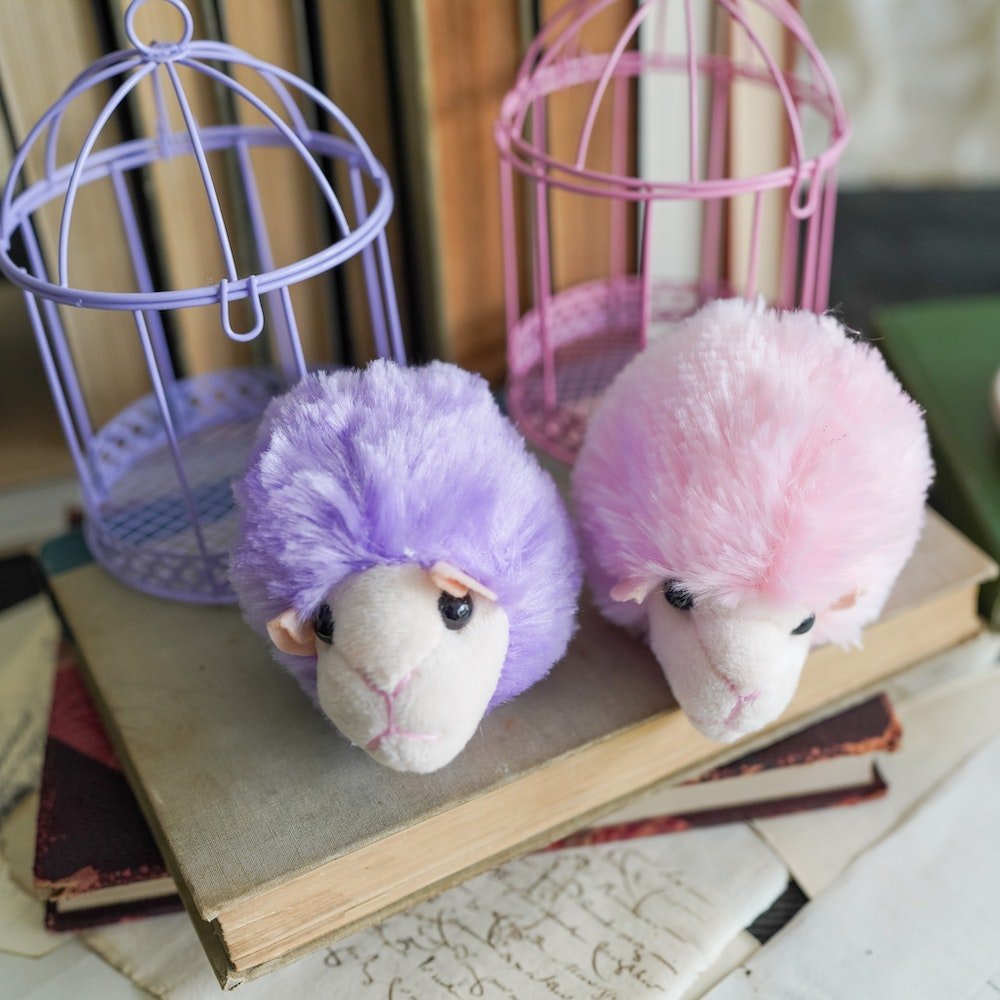 Magical pink and purple Puff Pet in a Cage and a Box