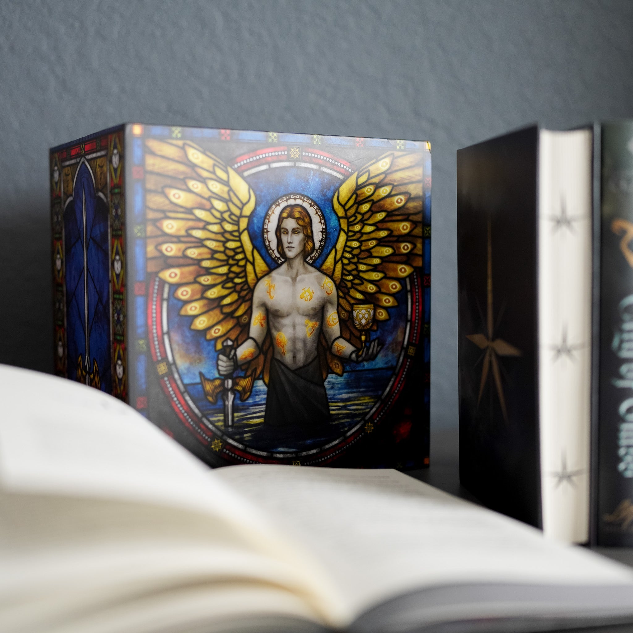 Annotated The Mortal Instruments Box Set of 6, Litjoy Special Edition  Series