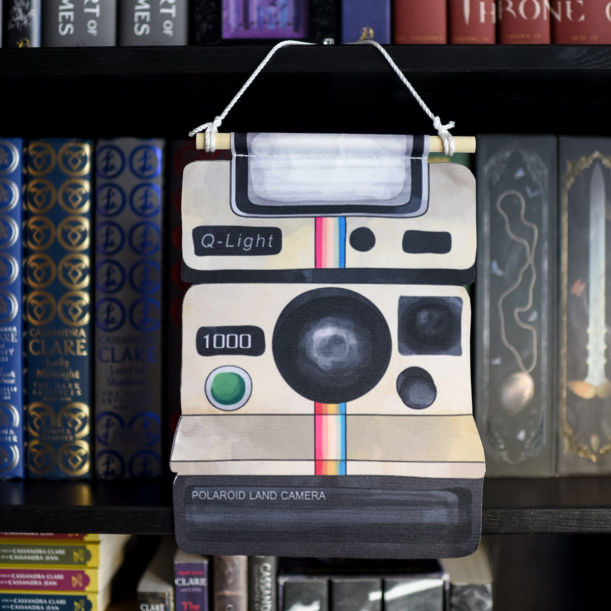 PIN BANNER - Polaroid Camera from LitJoy Crate | Collectibles &amp; Gifts for Booklovers