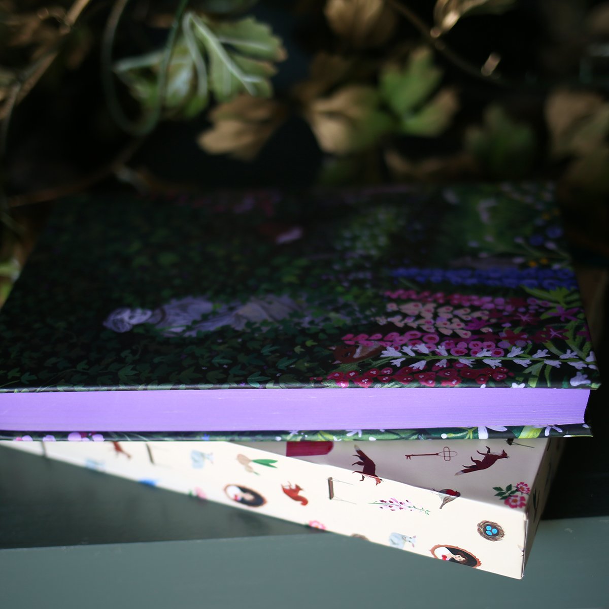 The Secret Garden special edition with a custom slipcase and illustrations with garden aesthetic and purple stained edges