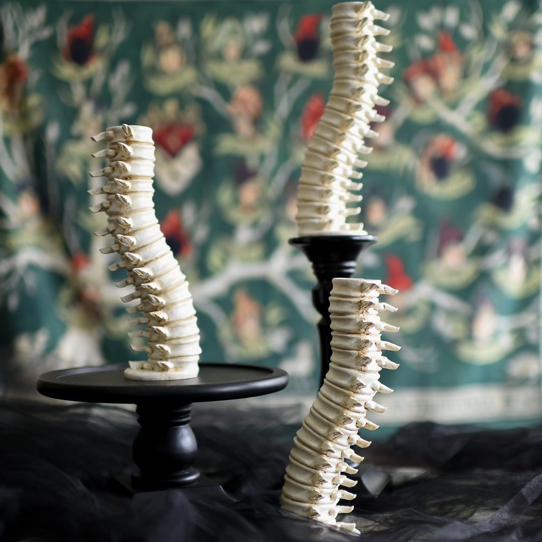 Set of 3 Spine Candle Holders