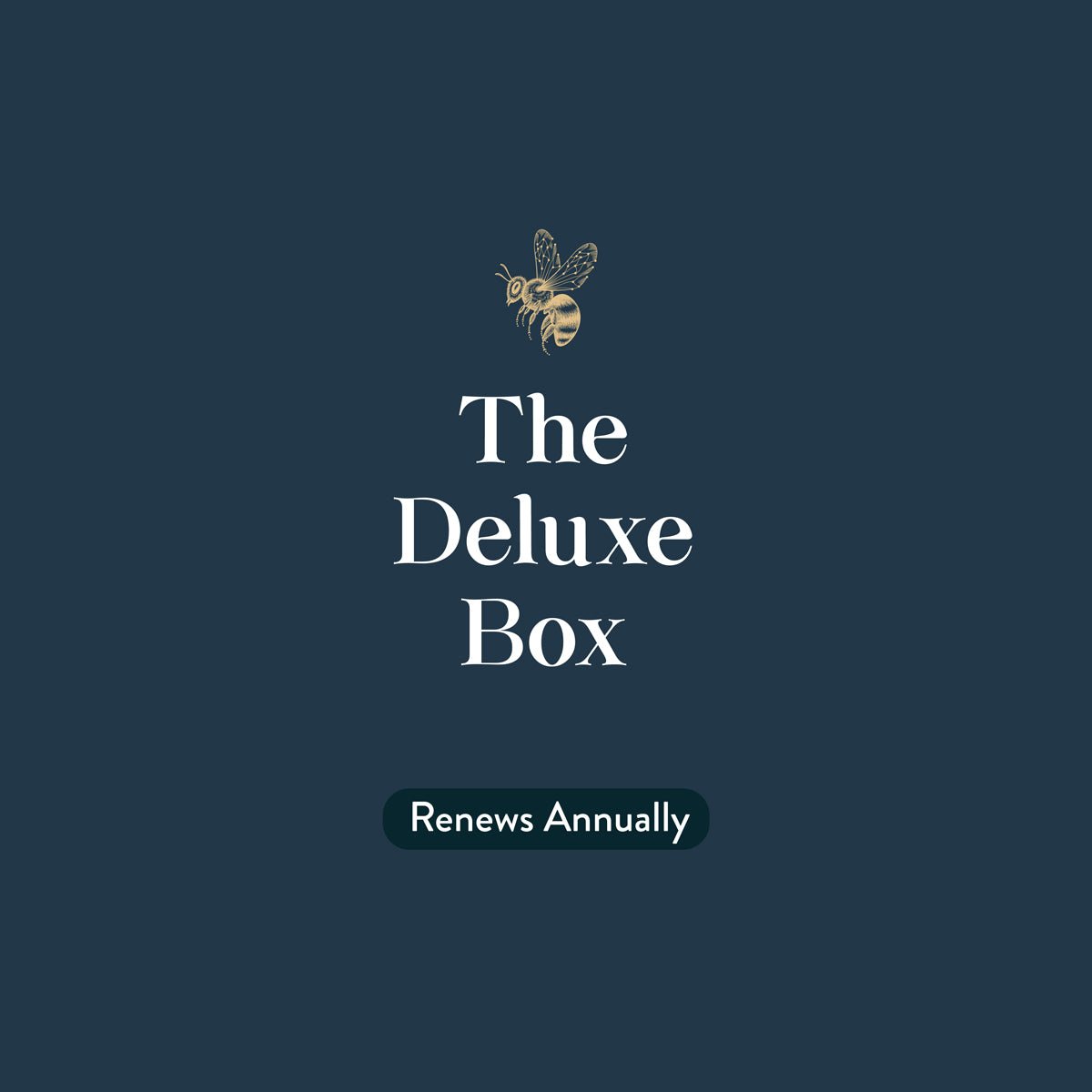 DELUXE Book Box Subscription, Annually