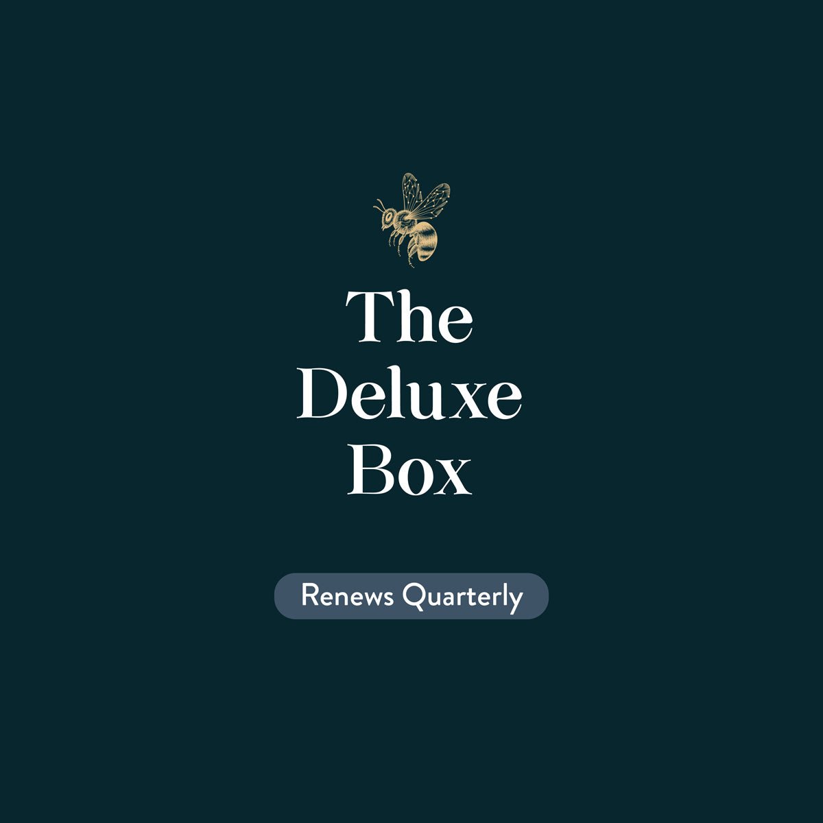 DELUXE Book Box Subscription, Quarterly