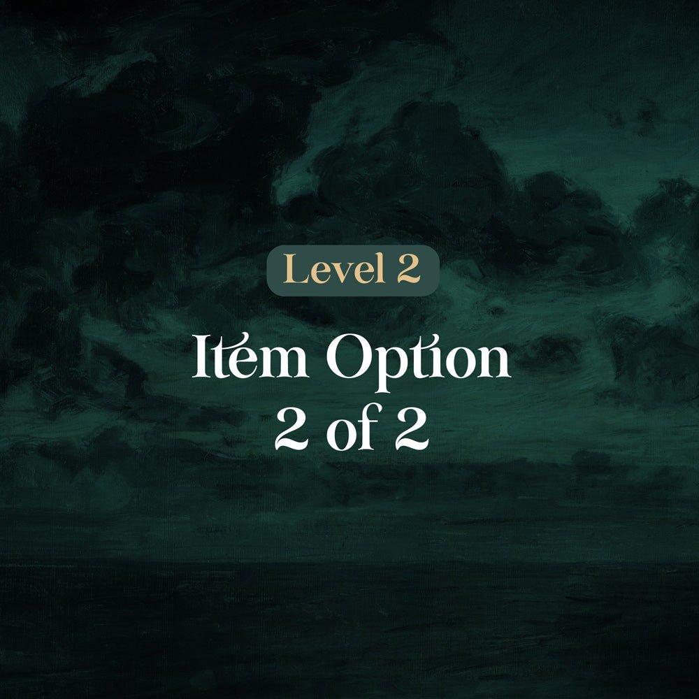 Level 2: Option 2 of 2