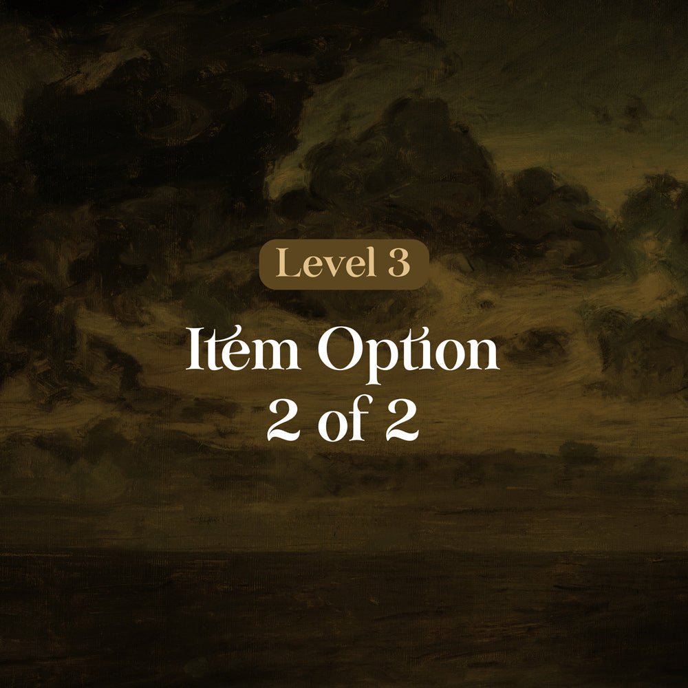 Level 3: Option 2 of 2