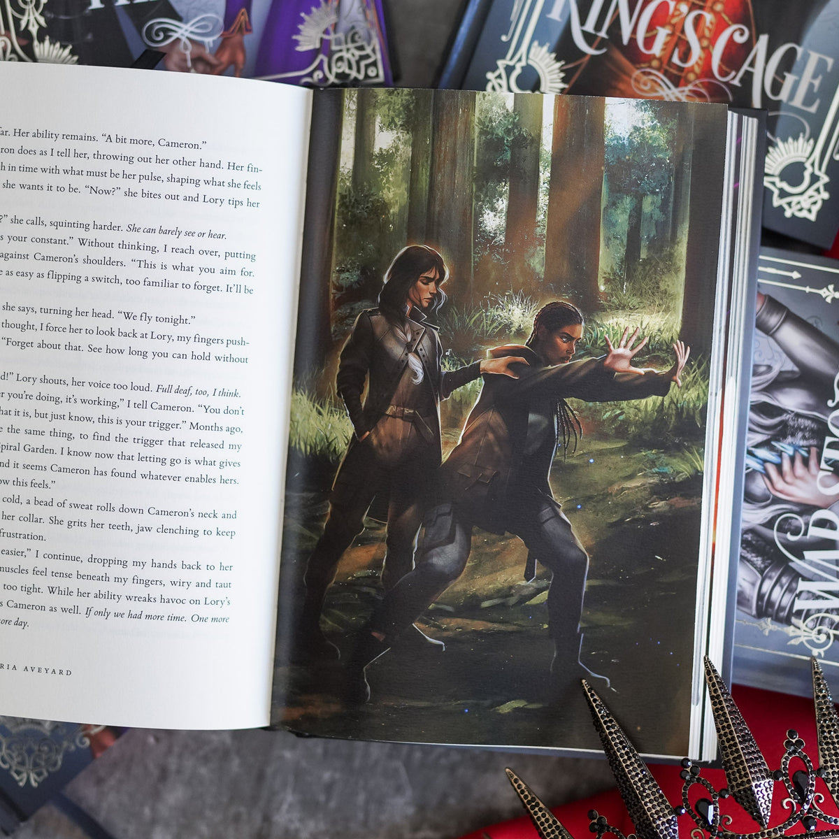 Interior artwork within the special edition books