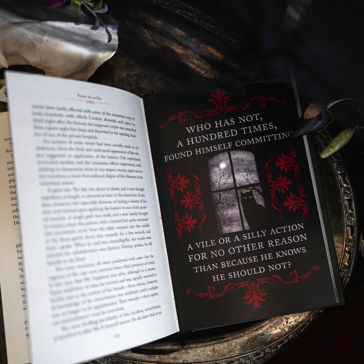 Selected Tales and Poems of Edgar Allan Poe from LitJoy Crate | Collectibles &amp; Gifts for Booklovers